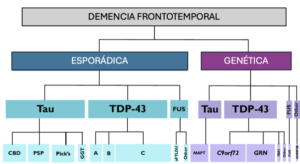 demencia frontotemporal