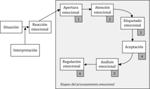 desregulación emocional